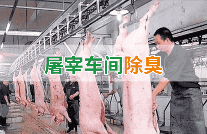 屠宰場臭氣影響周邊環(huán)境？解決辦法在這里-1