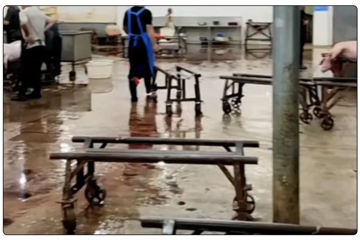 屠宰工廠惡臭影響周邊，使用除臭劑有什么注意要點？.jpg