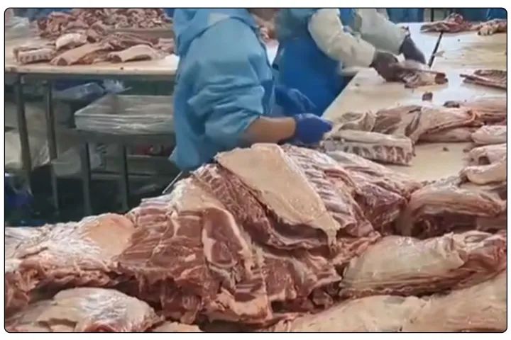 屠宰工廠惡臭影響周邊，使用除臭劑有什么注意要點？.jpg
