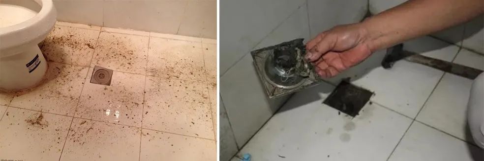 家里衛(wèi)生間老有異味，潔匠凈化教您如何解決難聞的臭味.jpg