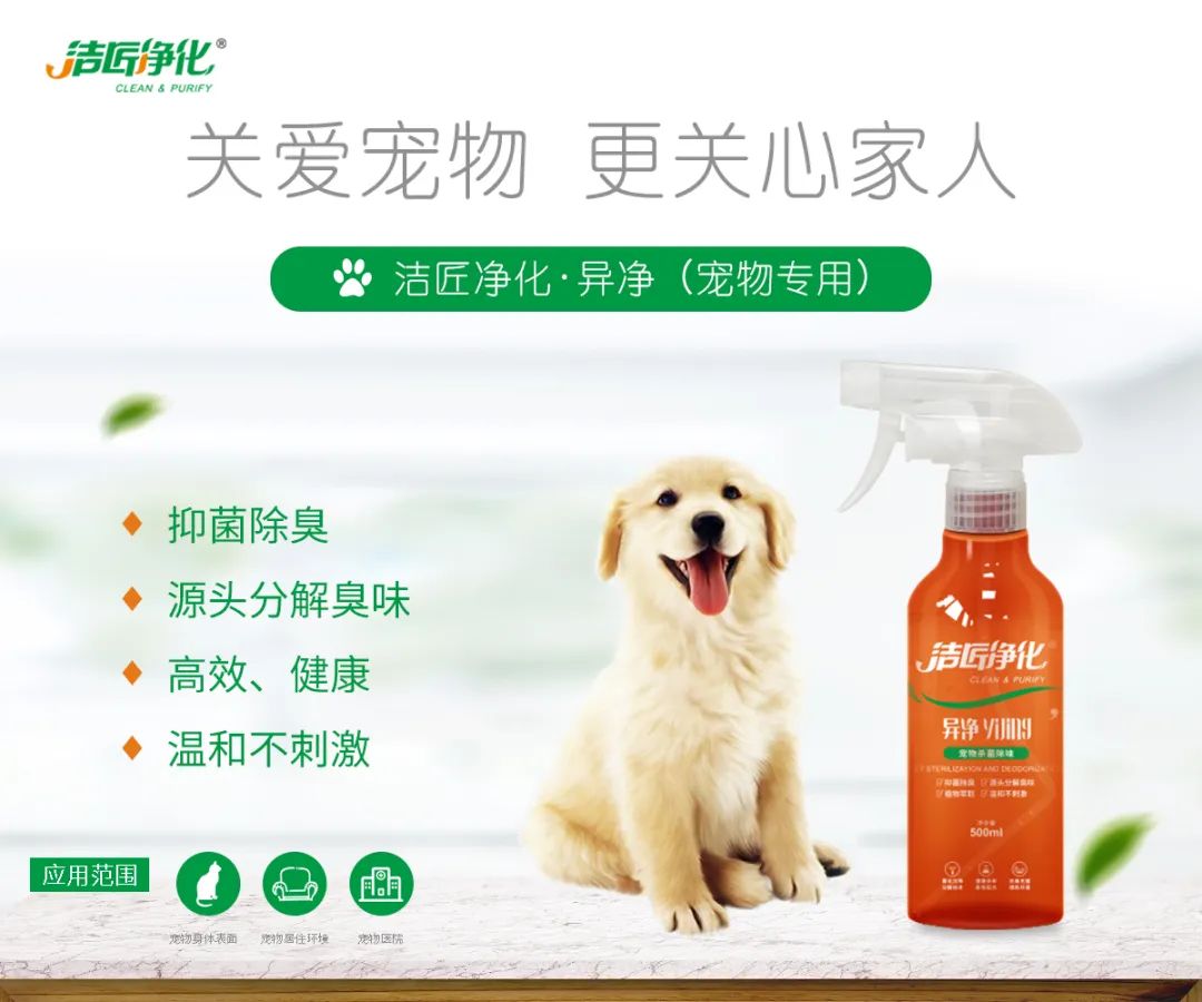 寵物氣味彌漫整個屋子，潔匠凈化教您如何除味
